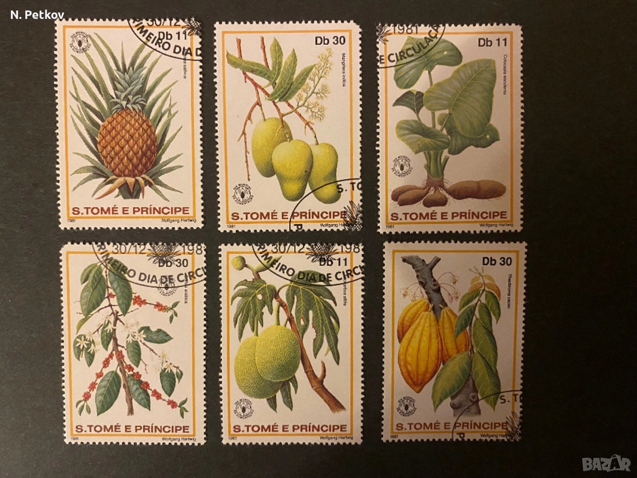 Сао Томе и Принсипи, Тропически плодове, снимка 1