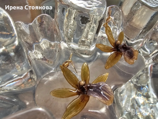 Обеци с естествен цвят на орхидея Камбриа, снимка 10 - Обеци - 52364889