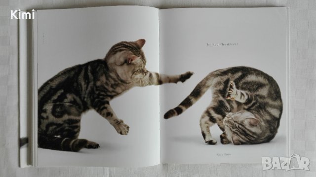 Котешки луксозни албуми, снимка 12 - Други - 26550144
