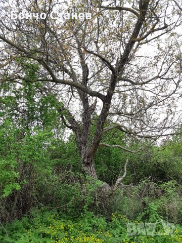 Продавам къща с парцел, снимка 5 - Парцели - 26810812