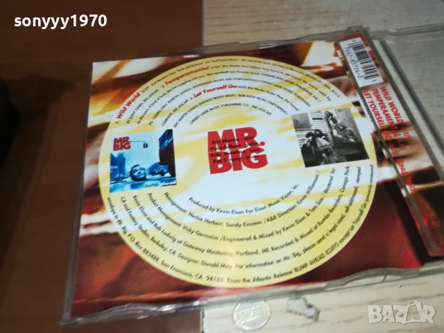 MR.BIG CD 0607251047, снимка 10 - CD дискове - 50923938