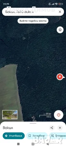 Гора 80 дек., снимка 5 - Земеделска земя - 50228929