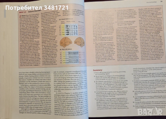 Biological Psychology. An Introduction to Behavioral, Cognitive and Clinical Neuroscience, снимка 11 - Специализирана литература - 53251130