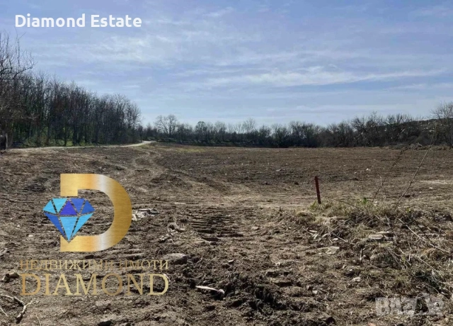 Парцел в близост до гр. Първомай, снимка 4 - Парцели - 52233549