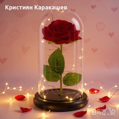 Вечна Роза в Купол с LED лампички в подаръчна кутия, снимка 3 - Изкуствени цветя - 53430027