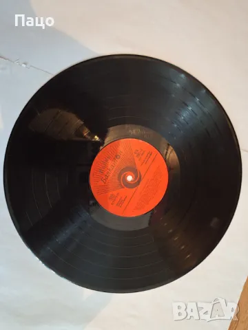 ЕСТРАДНА ПАЛИТРА, снимка 3 - Грамофонни плочи - 48960880