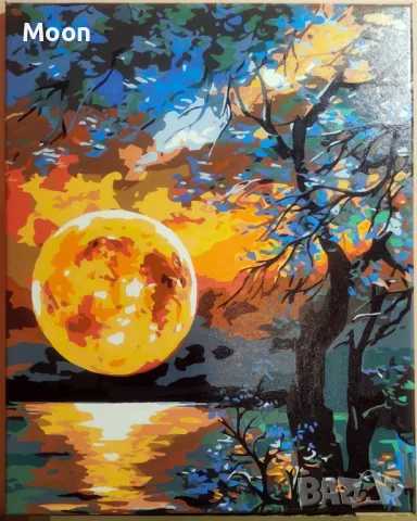 Картина - Пълнолуние