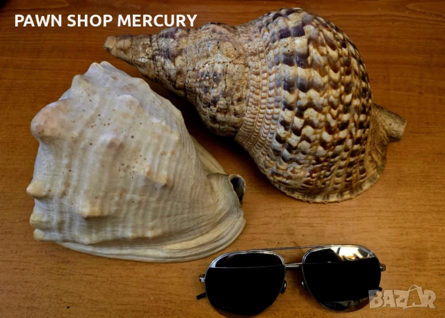 Продавам големи океански рапани , снимка 3 - Декорация за дома - 51267598