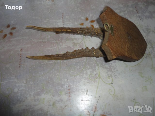 Немски ловен трофей 19 век 6, снимка 8 - Антикварни и старинни предмети - 43727536