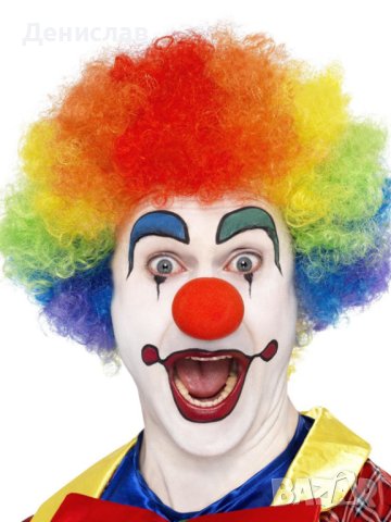 Многоцветни перуки тип Клоун 