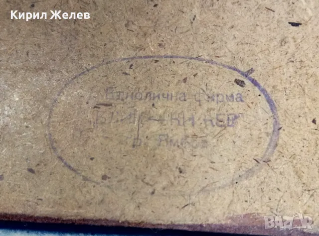 ПРЕСВЕТА БОГОРОДИЦА с МЛАДЕНЕЦА ИЗТОЧНОПРАВСЛАВНА ИКОНА ПРИНТ 47641, снимка 3 - Икони - 47908822