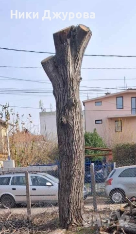 Орехов материал, снимка 4 - Дърводелски услуги - 52714678