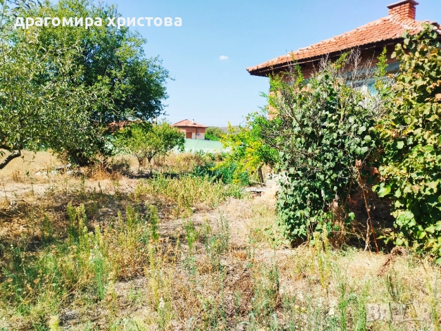 Къща с двор в с.Кабиле, снимка 6 - Къщи - 51869216