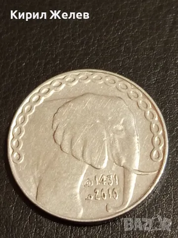 Две монети 1 шилинг 1951г. Обединено кралство Шотландски герб - 5 динара 2010г. Алжир 29223, снимка 6 - Нумизматика и бонистика - 49061654