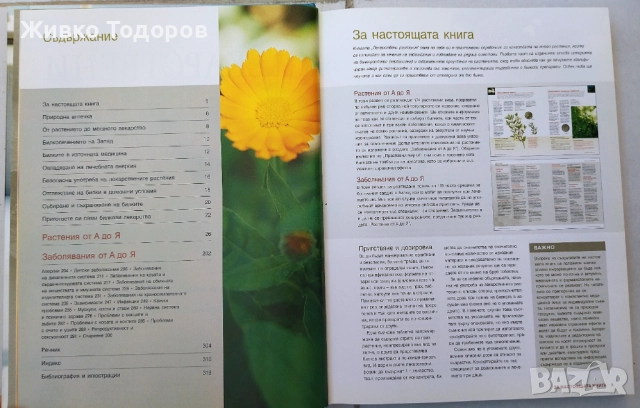 Билките в всеки дом/Здраве от аптеката на Господ/Лековити билки.Рецепти,съвети/Лекарствени растения, снимка 9 - Специализирана литература - 46956290