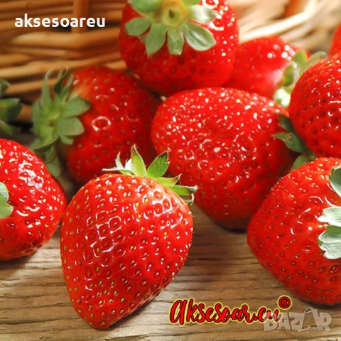 100 бр. семена от гигантска ягода градинско плодово растение сладки и вкусни червени отлични ягоди , снимка 6 - Сортови семена и луковици - 50619358