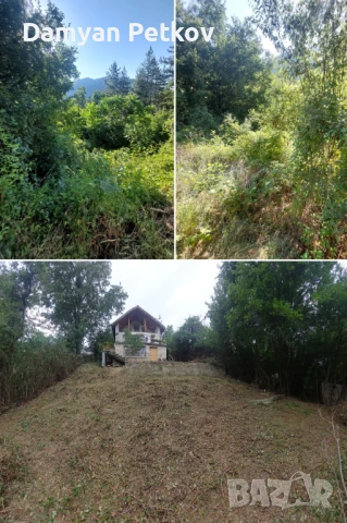 Професионално почистване на дворове , снимка 1