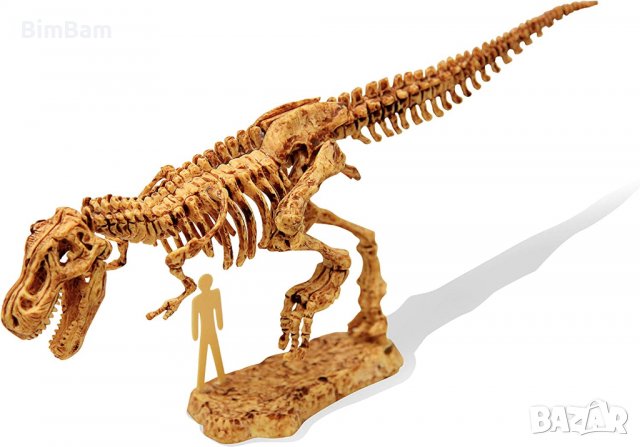 Забавен игрален Дино комплект - Тиранозавър / Buki, снимка 3 - Образователни игри - 39429723