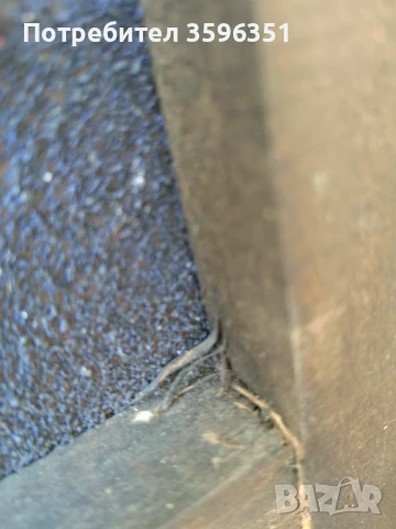 картина, снимка 8 - Картини - 51252972