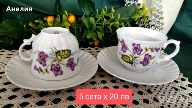 Виолетки Wunsiedel Bavaria 