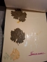 Хербарии, снимка 4