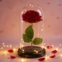 Вечна Роза в Купол с LED лампички в подаръчна кутия, снимка 3