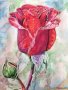 Червена роза #акварел #оригинал, снимка 1 - Картини - 33146412