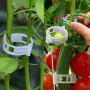 Скоби за домати колове растения връзване поддръжка пластмасови зеленчуци, снимка 5