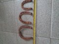 Стари подкови носят късмет , снимка 2