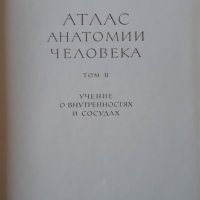 Атлас анатомии человека, Том 2, Р. Д. Синельников, снимка 2 - Специализирана литература - 32299951