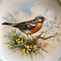 Декоративна чиния за колекционери английски порцелан , снимка 2 - Декорация за дома - 43848165