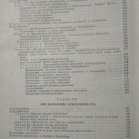 Курс зоологии. Том 1: Беспозвоночные. Том 2: Хордовые 1949 г., снимка 7 - Специализирана литература - 32276460