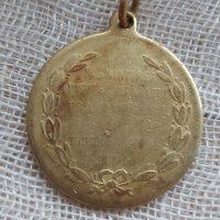 Австро-Унгарски медал - 1896 година, снимка 3 - Антикварни и старинни предмети - 28205898