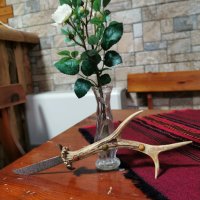 Колекционерски нож с рог от елен, снимка 3 - Колекции - 33568143