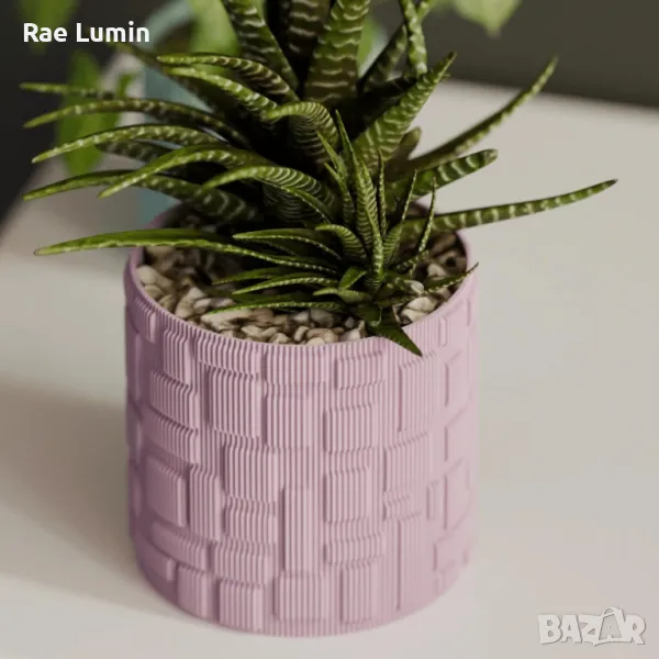 Саксия – гео принт, снимка 1