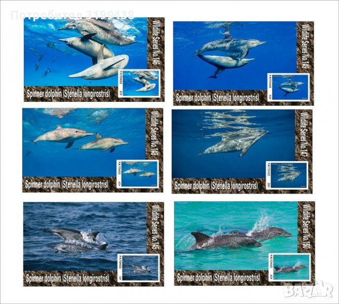 Чисти блокове Фауна Делфини Дългоклюна стенела 2020 от Тонго, снимка 1