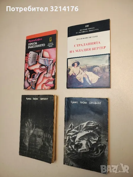 Процесът - Франц Кафка, снимка 1