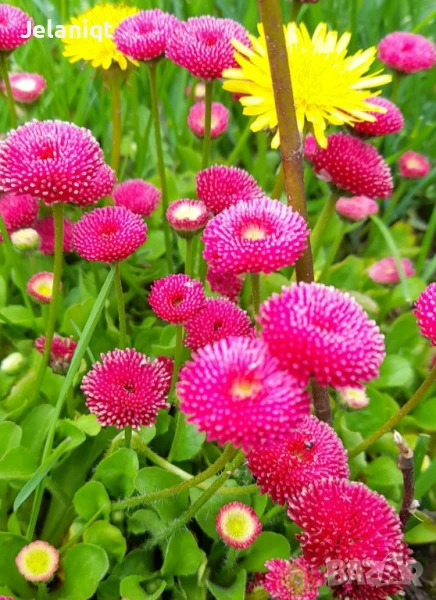 Предлагам работа, снимка 1