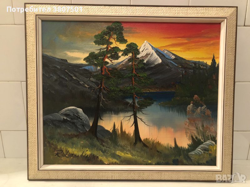 КАРТИНА С МАСЛЕНИ БОИ  , снимка 1