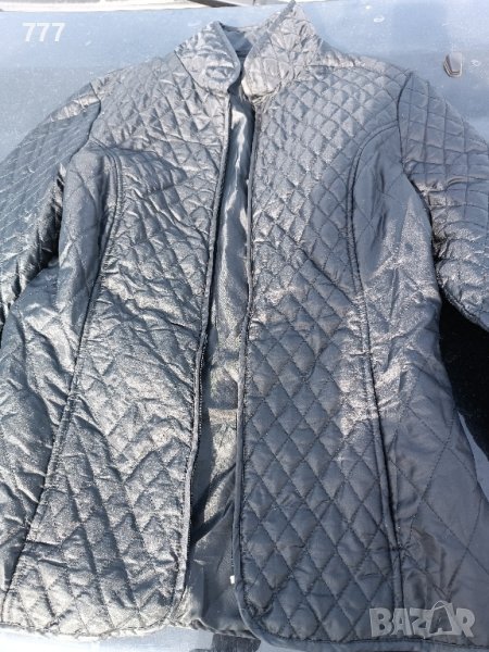 яке, снимка 1