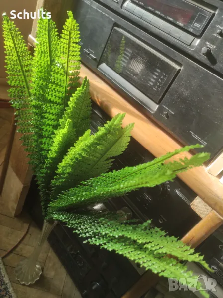 Папрат изкуствен 60 см.2 бр.за 20лв, снимка 1