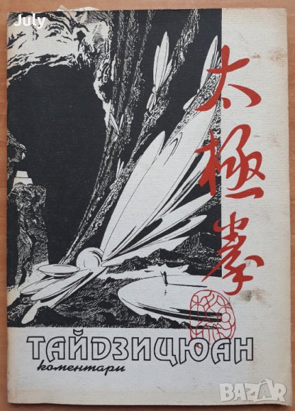 Тайдзицюан, Коментари, Валери Иванов, снимка 1