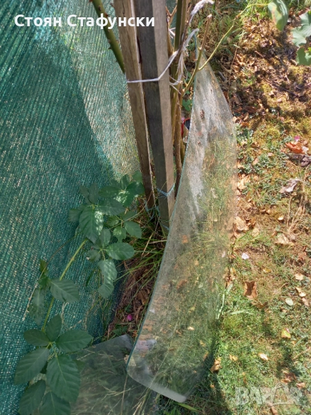 Предни стъкла за жигул, Руски, снимка 1