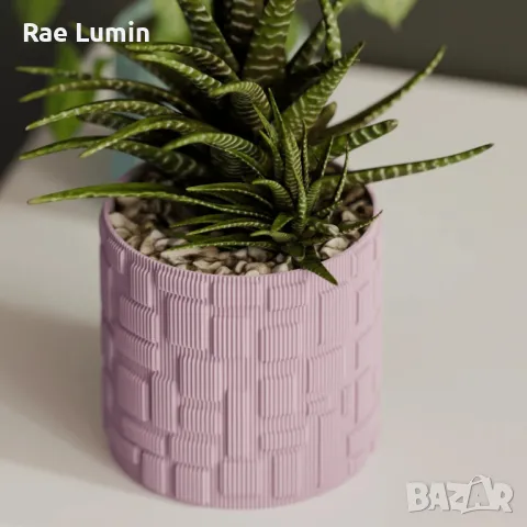 Саксия – гео принт, снимка 1