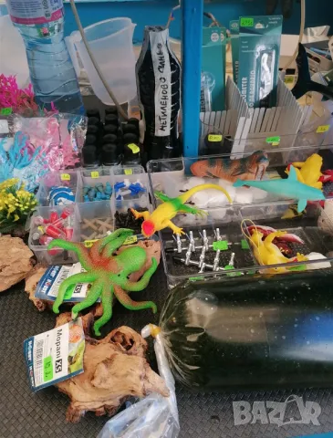 Продавам аквариуми риби аксесоари, снимка 5 - Аквариуми - 47433173