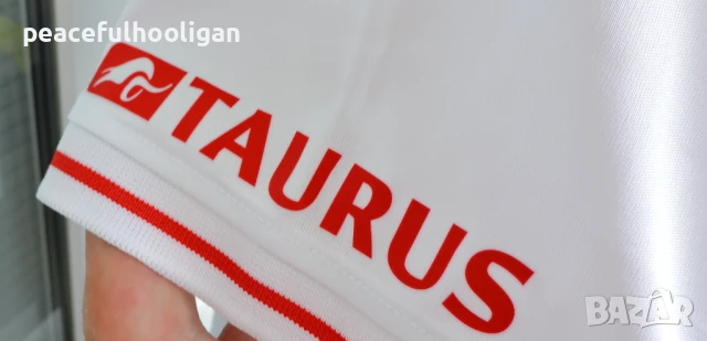 Castore FC Twente Third Shirt 2023/2024 оригинална футболна тениска размер L, снимка 16 - Спортни дрехи, екипи - 50837021