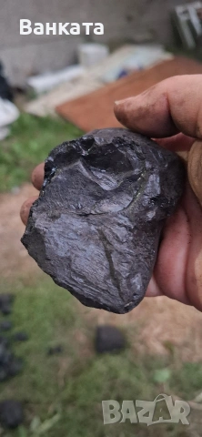 Бобовдолски и домбаски въглища, снимка 12 - Въглища - 53148241