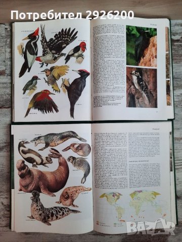ЕНЦИКЛОПЕДИЯ ЗА ЖИВОТНИ 5БР., снимка 8 - Енциклопедии, справочници - 38065436