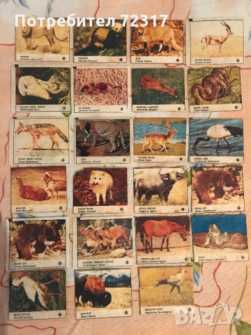 Картинки от дъвки турбо, снимка 15 - Колекции - 31486003