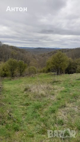 Продавам къща в с. Кондолово Странджа, снимка 3 - Къщи - 40376246